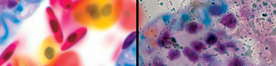 Cleaning Microscope Optics