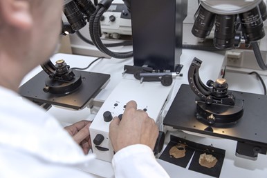 An Introduction to the Comparison Forensic Microscope