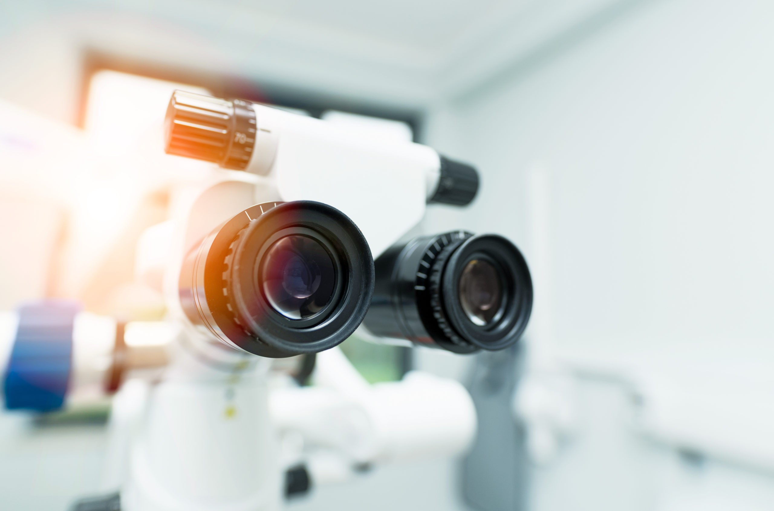 How to Select the Right Digital Camera for Your Microscope