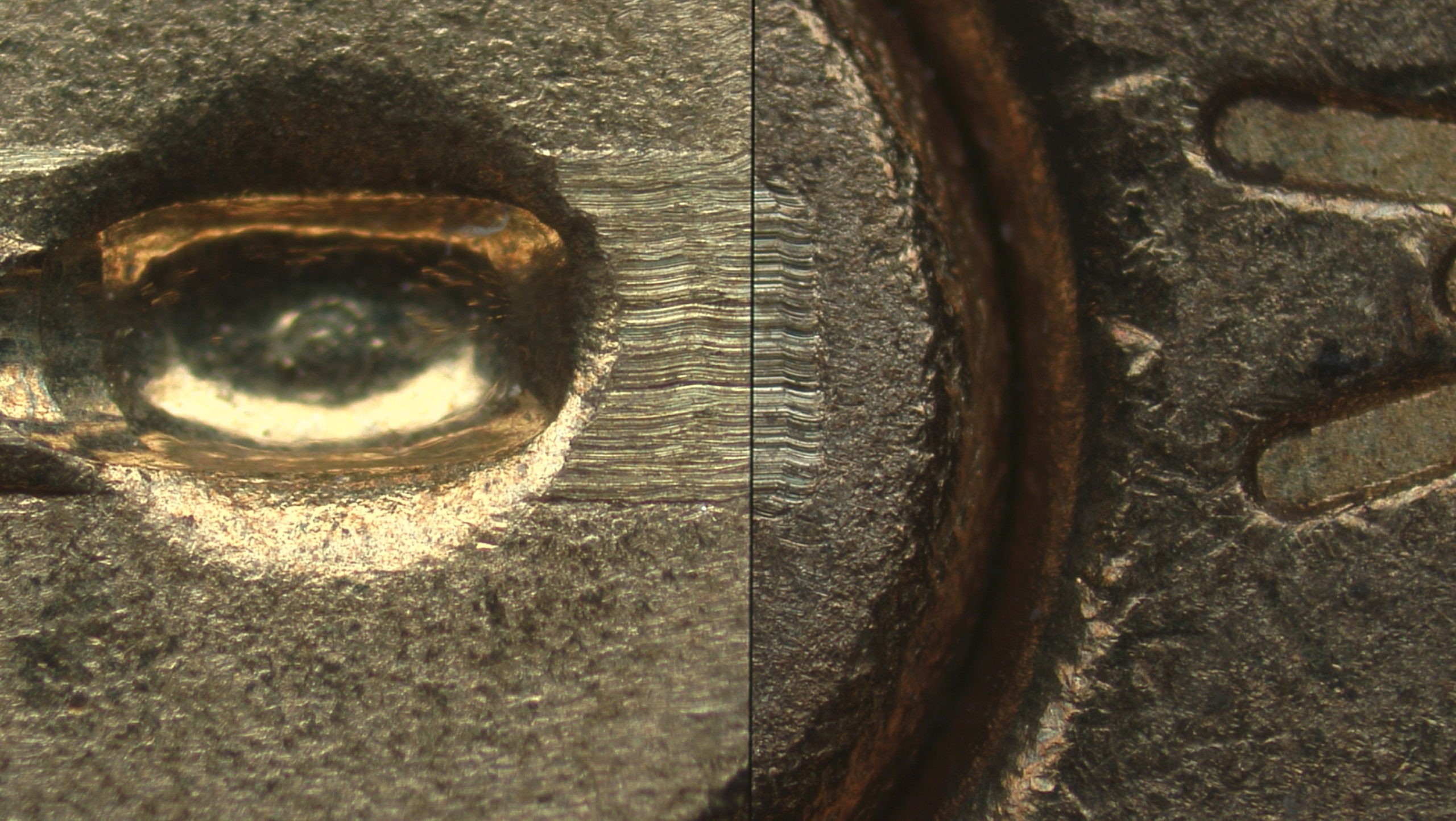 A Review of Forensic Microscopes
