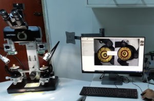 Can Comparative Microscopy Revolutionize Forensic Investigations?