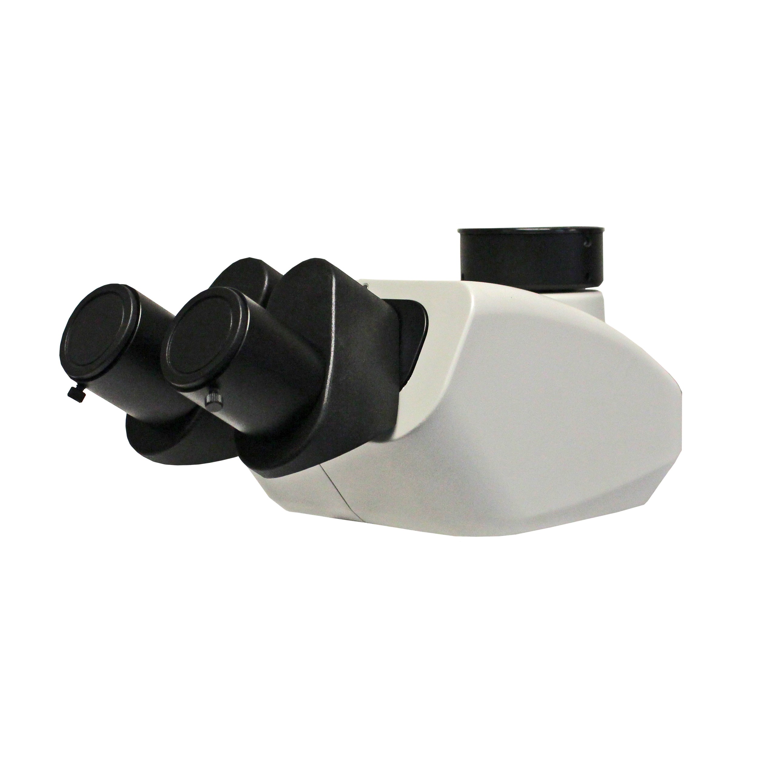 Z12 Trinocular Viewing Head