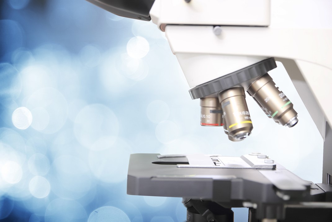 Compound vs. Stereo Microscopes: What’s the Difference?