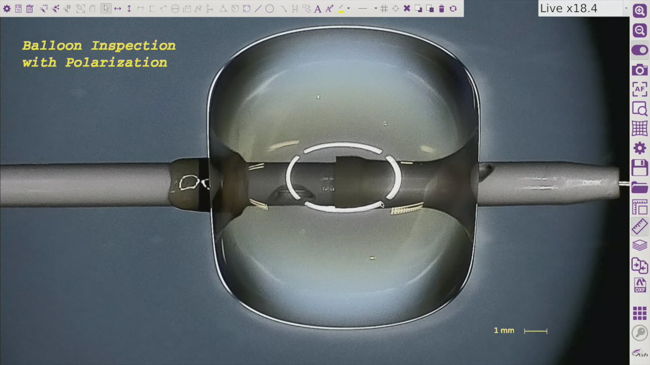 Balloon Catheter Inspection with the OMNI Core